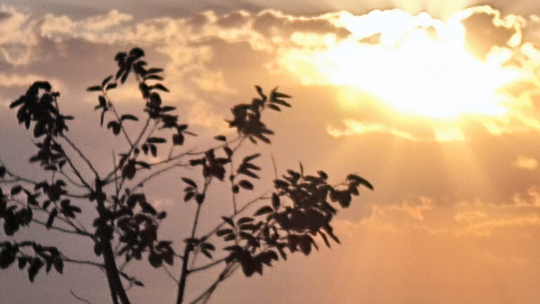 🌼نور شرمنده از جمال فاطمه است🌼