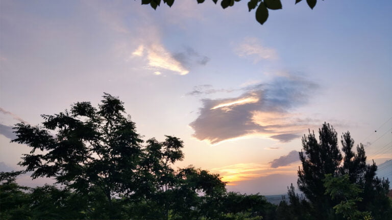 🌼انسان دشمن خونین خویش است🌼