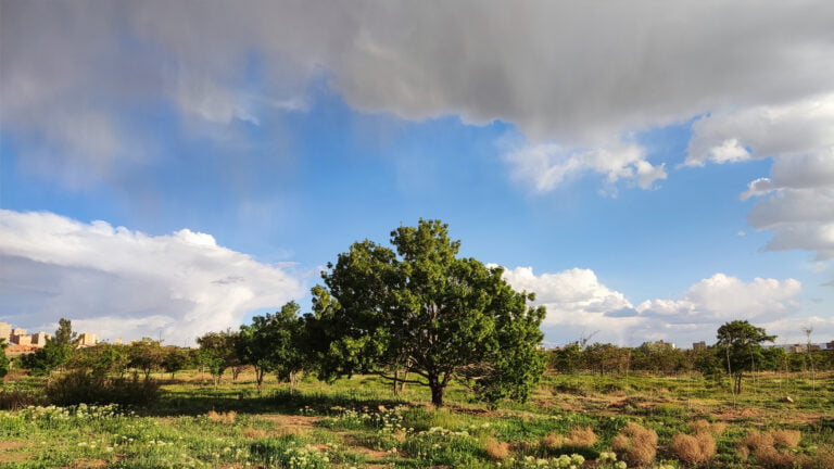 🌼گمشدگان سرزمین جعفریه🌼