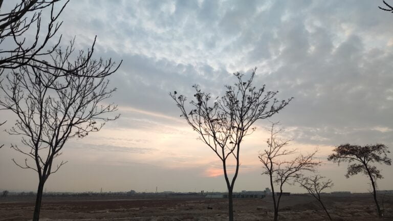 🌻🔆 اوج رسیدگی و شیرینی علم🔆🌻