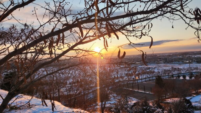🌹🔆🌼 فاطمه معدن روشنایی🌼🔆🌹