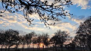 🌻🔆توحید صادقیه🔆🌻