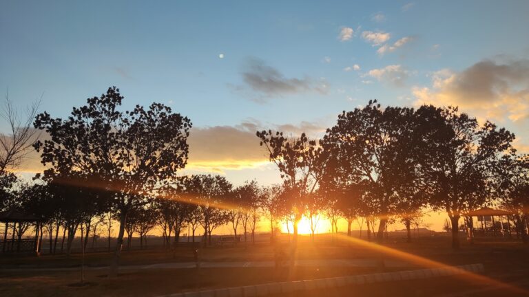 🌻🔆محاسبه رابطه نقویه🔆🌻